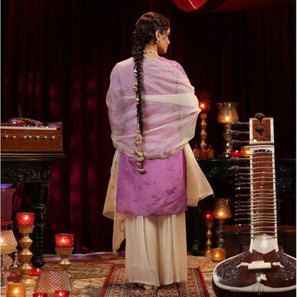 Shimmer Organza Embroidered Sharara Set - Bluauraa